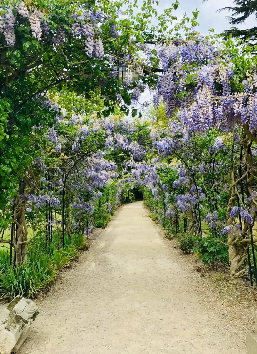 Visiting Speyside: Gordon Castle Walled Gardens