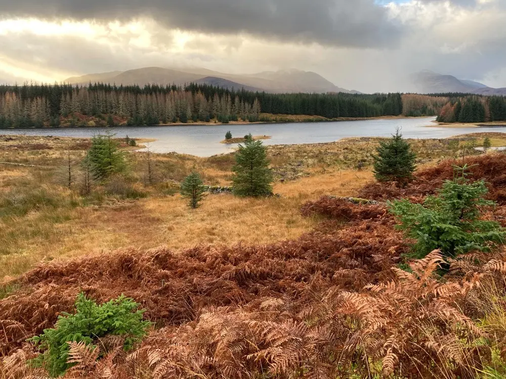 Hiking And Walking Ideas In Speyside