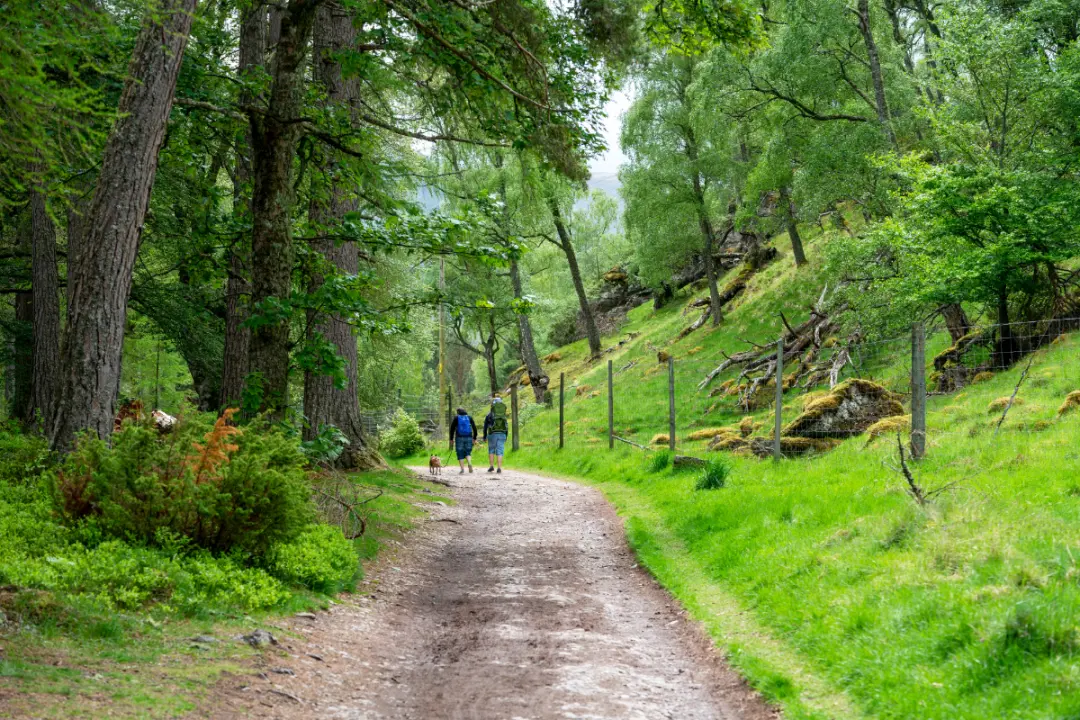 How Do I Spend A Day In Cairngorms? Self Catering Cottages Speyside