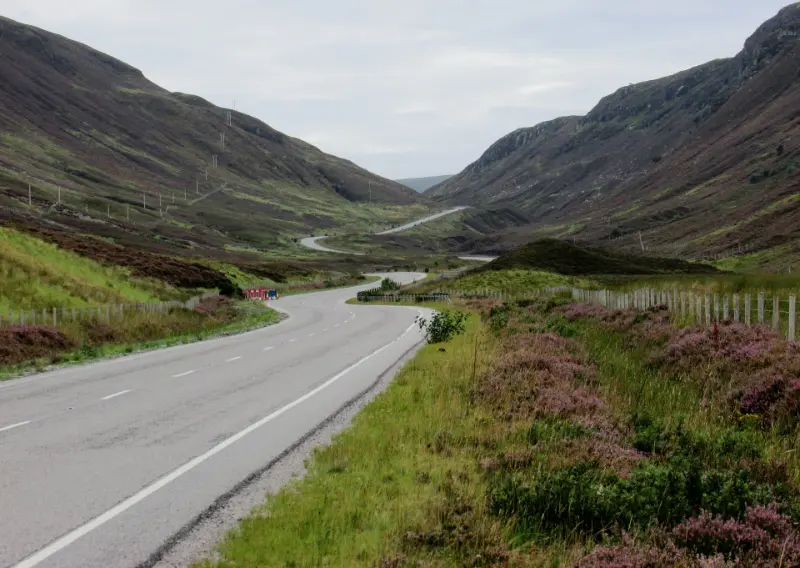 Speyside's Goat Farm | Attractions Near Cairngorms National Park 