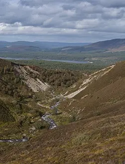 view over the cairngorms